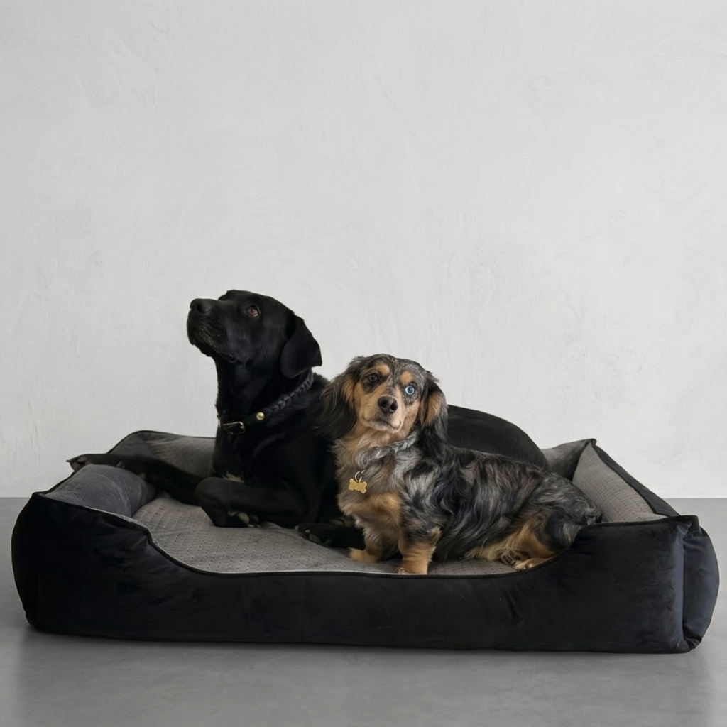 Hundebett "Gini" | inkl. Wechselbezug
