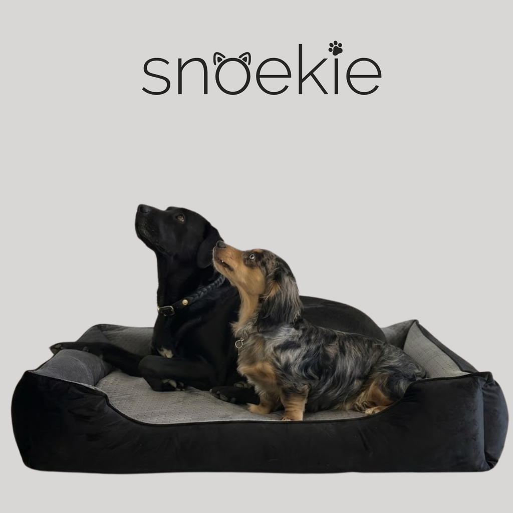 Hundebett "Gini" | inkl. Wechselbezug