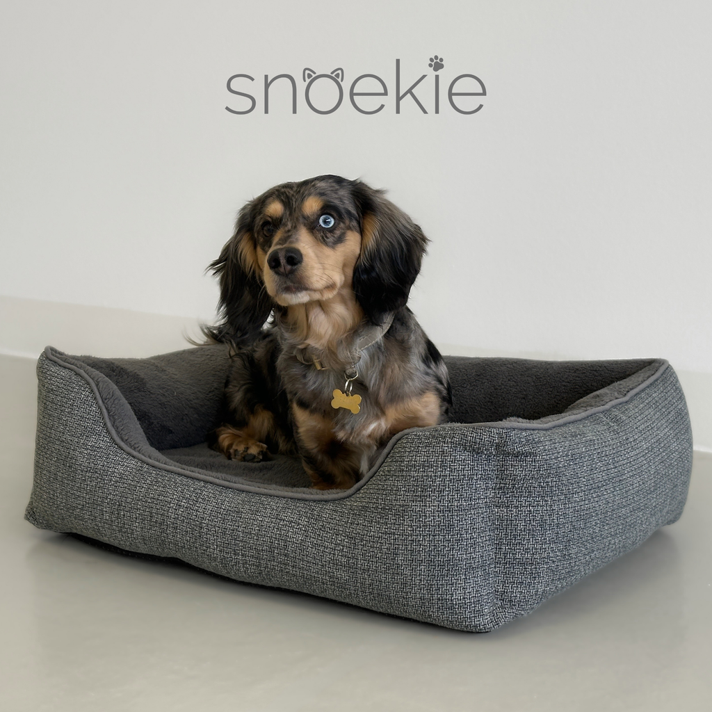 Snoekie Hundebett Gaia (Größe M & XL)