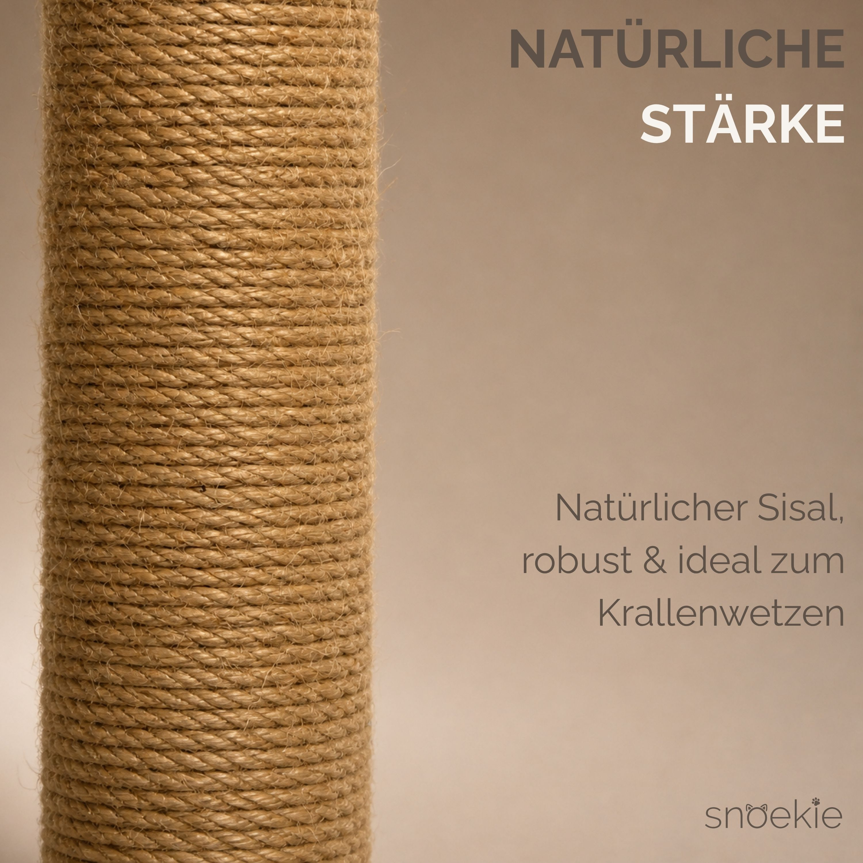 "Simba" - Vielseitiger Kratzbaum mit Kuschelhöhle und Hängemulde