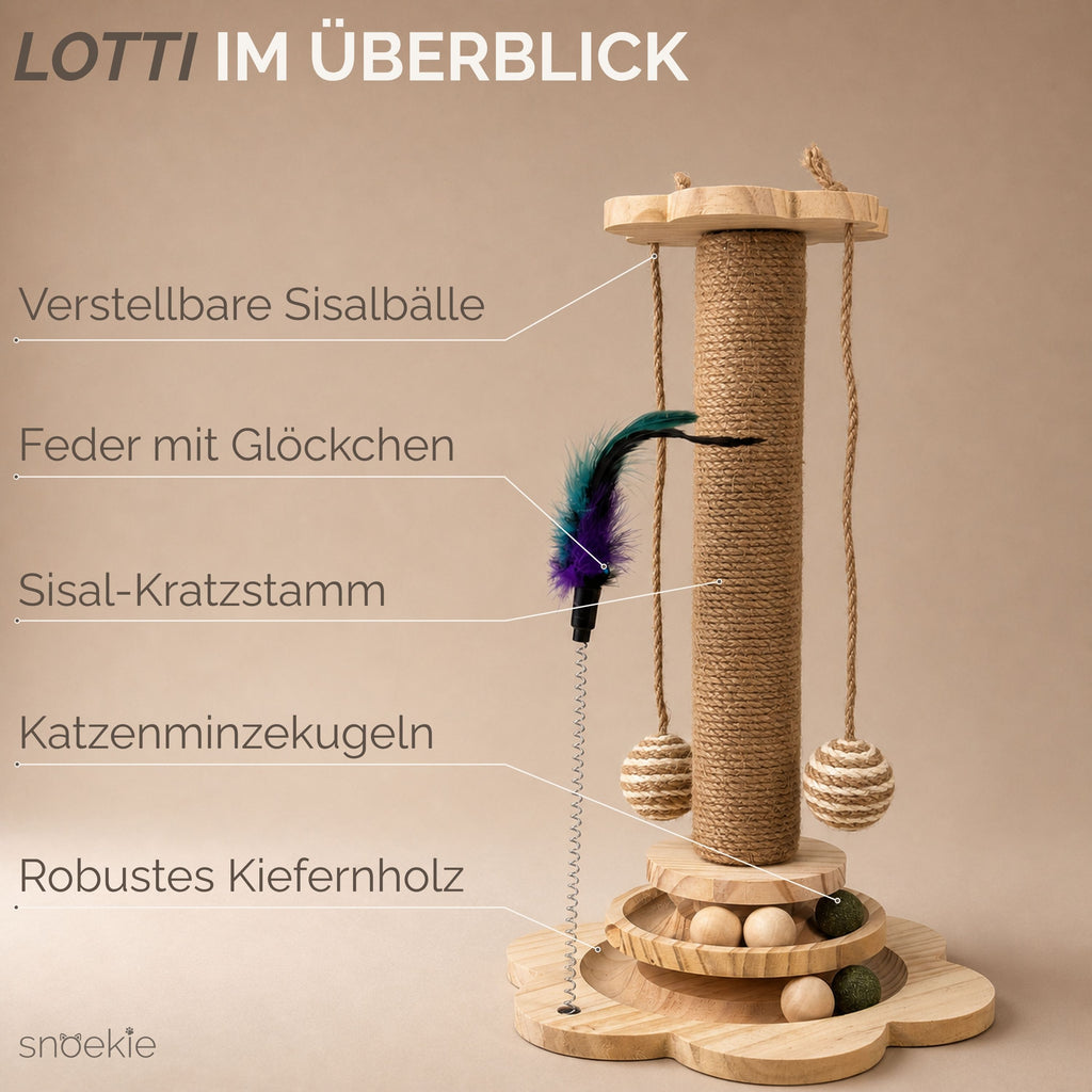 "Lotti" - Kompaktes Kratzspielzeug mit Rollbahnen