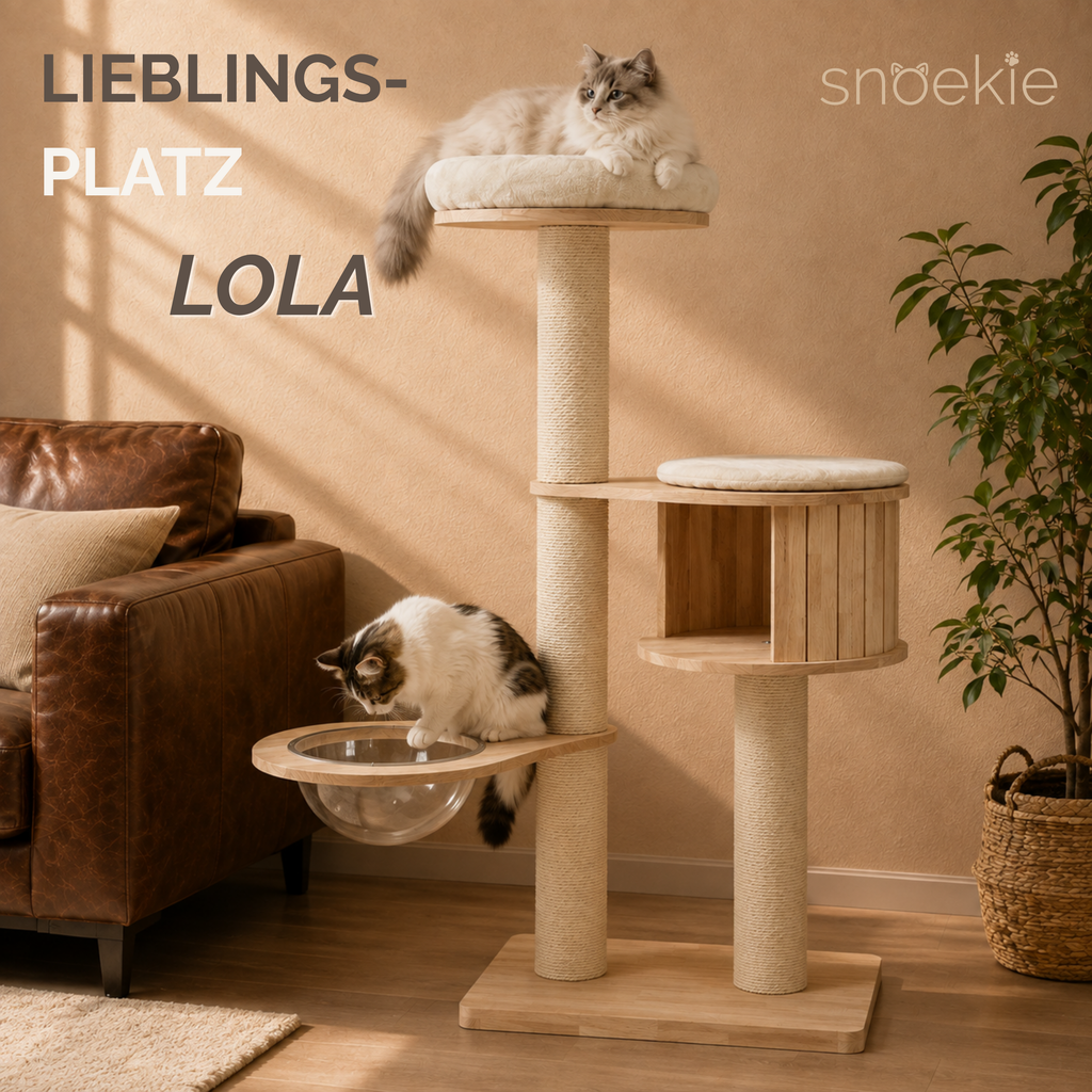 "Lola" - Kompakter, moderner Kratzbaum mit Acryl-Hängeschale und Holzkubus