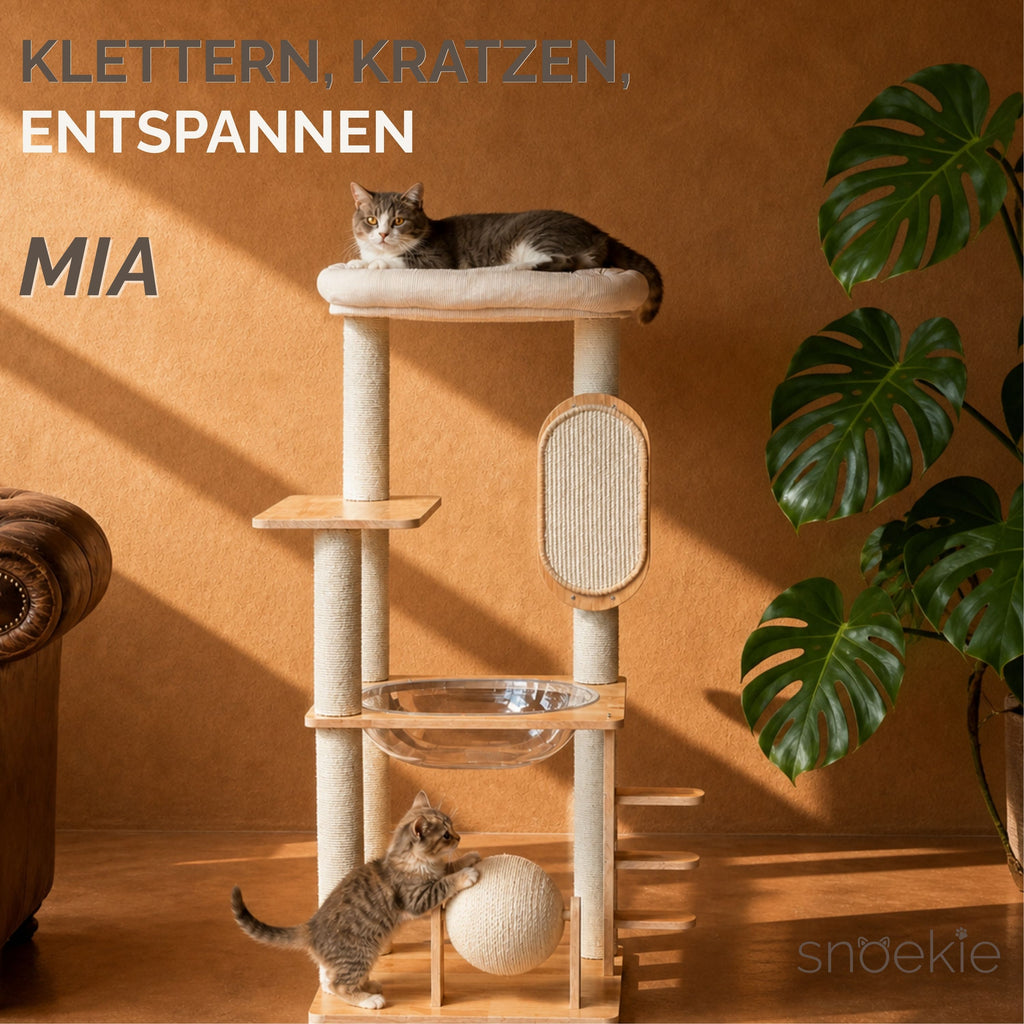 "Mia" - Katzenbaum mit transparenter Liegeschale, Kratzbrett & gepolsterter Liegefläche