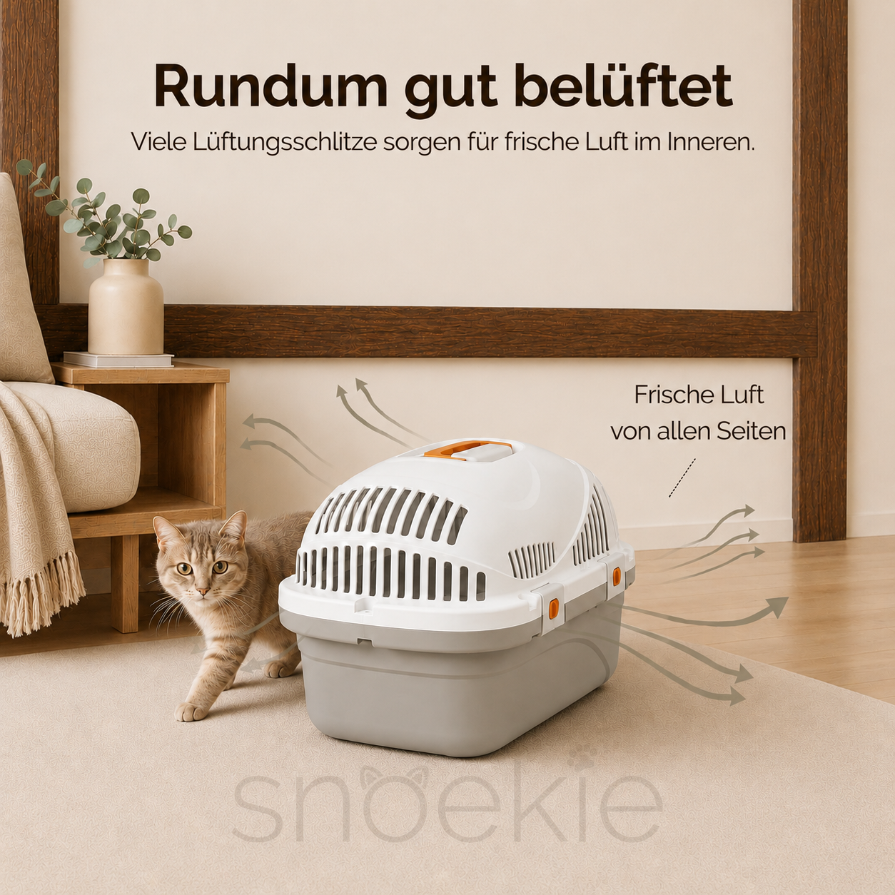 Haustier Transportbox