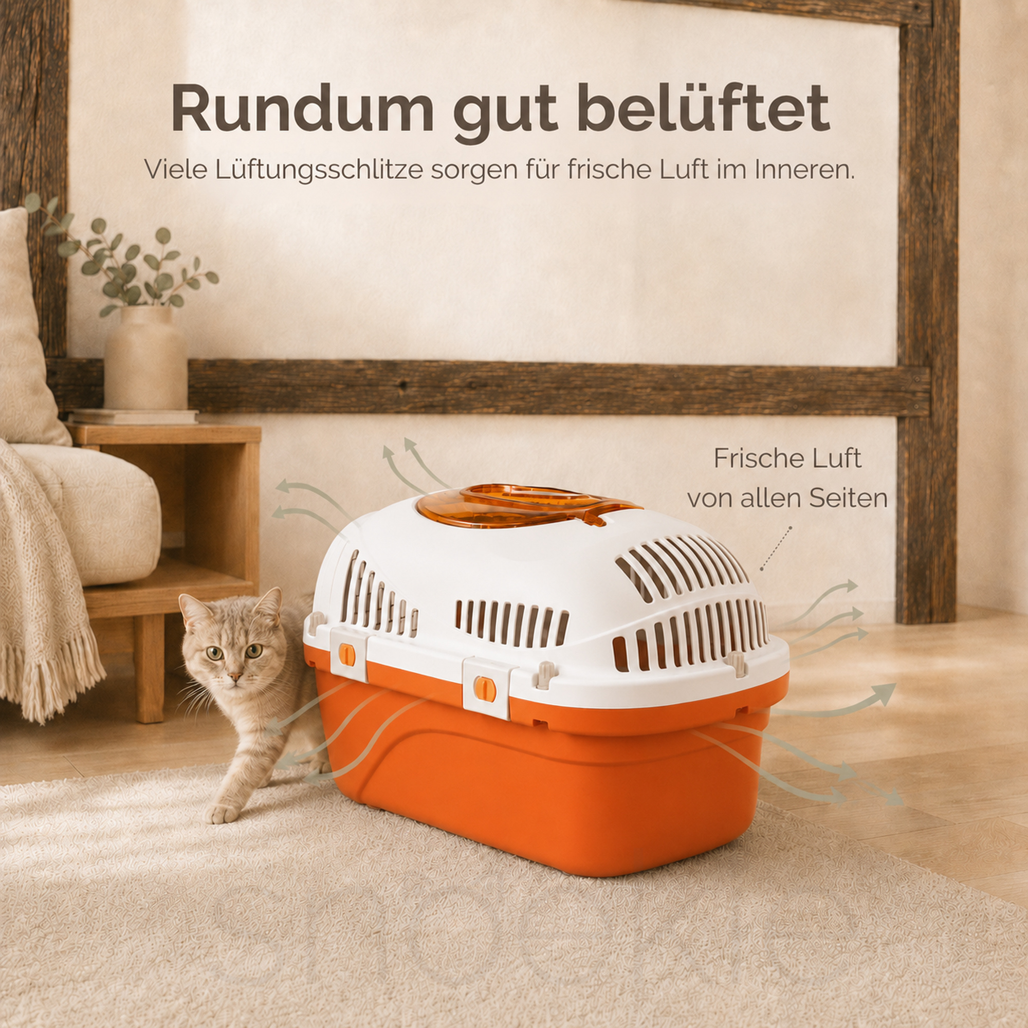 Haustier Transportbox mit aufklappbarer Dachöffnung